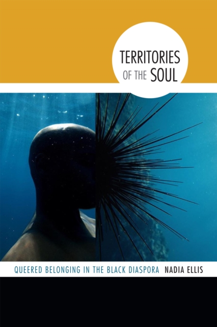 Territories of the Soul : Queered Belonging in the Black Diaspora, Paperback / softback Book