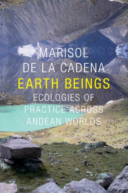 Earth Beings : Ecologies of Practice across Andean Worlds, Paperback / softback Book