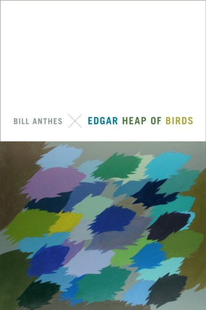 Edgar Heap of Birds, Hardback Book