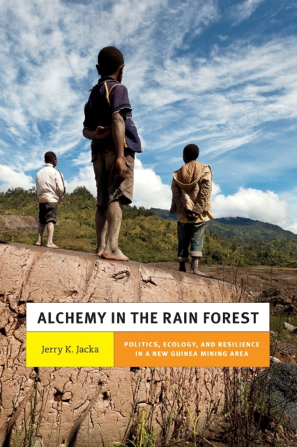 Alchemy in the Rain Forest : Politics, Ecology, and Resilience in a New Guinea Mining Area, Paperback / softback Book