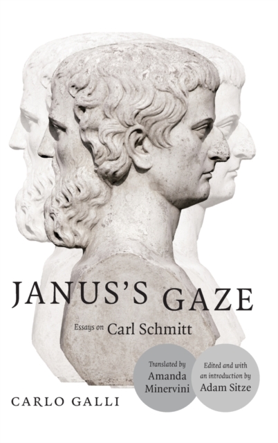 Janus's Gaze : Essays on Carl Schmitt, Hardback Book