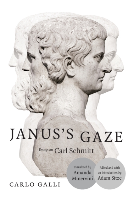 Janus's Gaze : Essays on Carl Schmitt, Paperback / softback Book
