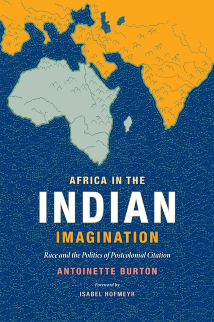 Africa in the Indian Imagination : Race and the Politics of Postcolonial Citation, Paperback / softback Book
