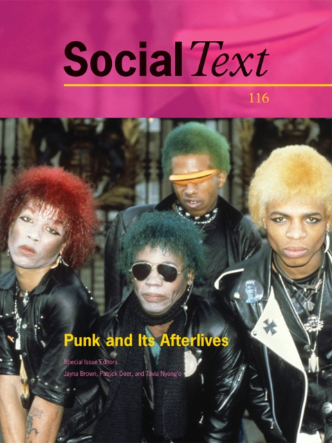 Punk and Its Afterlives, Paperback / softback Book