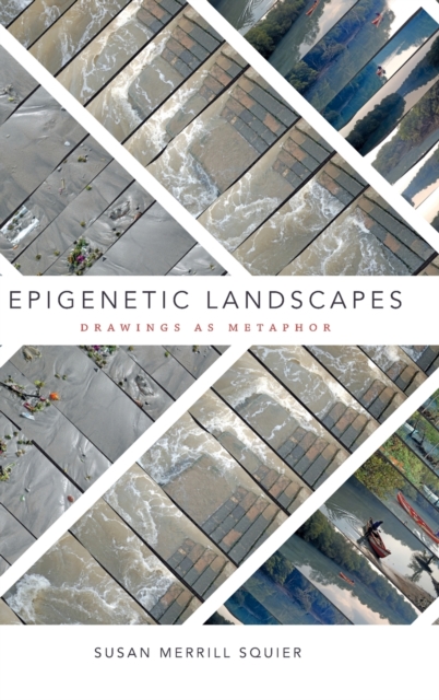 Epigenetic Landscapes : Drawings as Metaphor, Hardback Book