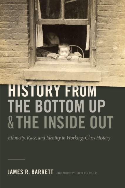 History from the Bottom Up and the Inside Out : Ethnicity, Race, and Identity in Working-Class History, Hardback Book