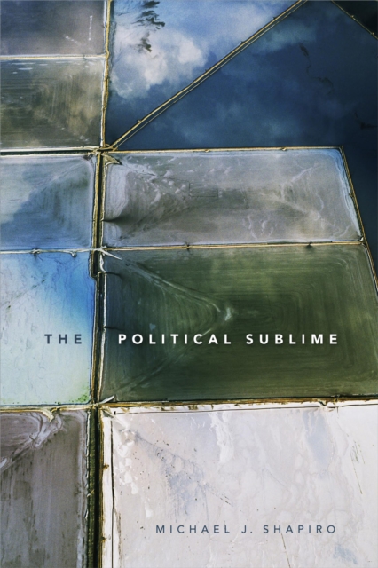 The Political Sublime, Hardback Book