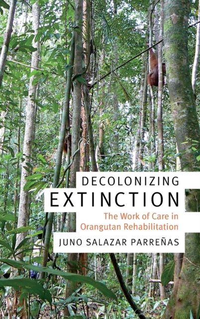 Decolonizing Extinction : The Work of Care in Orangutan Rehabilitation, Hardback Book