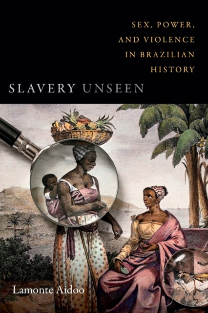 Slavery Unseen : Sex, Power, and Violence in Brazilian History, Paperback / softback Book