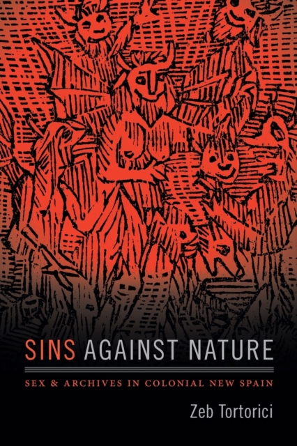 Sins against Nature : Sex and Archives in Colonial New Spain, Paperback / softback Book