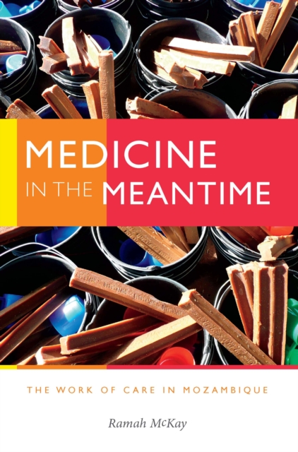 Medicine in the Meantime : The Work of Care in Mozambique, PDF eBook