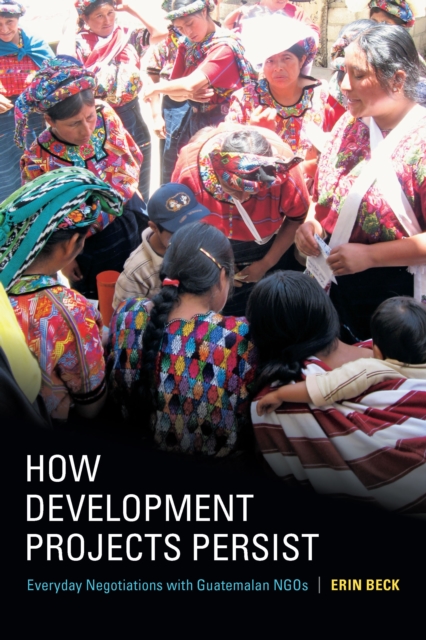 How Development Projects Persist : Everyday Negotiations with Guatemalan NGOs, PDF eBook