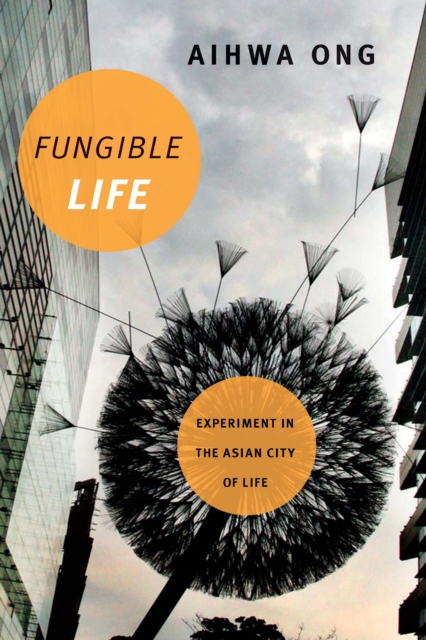 Fungible Life : Experiment in the Asian City of Life, PDF eBook