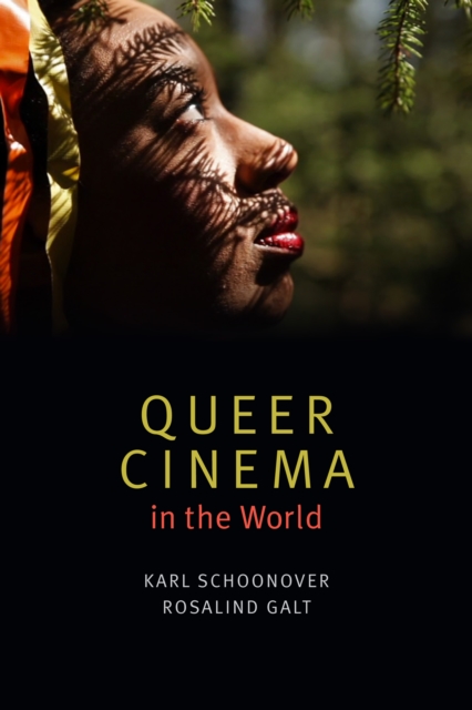Queer Cinema in the World, PDF eBook