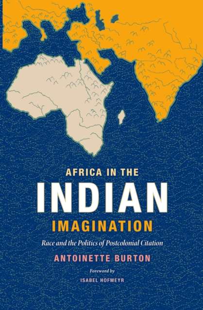 Africa in the Indian Imagination : Race and the Politics of Postcolonial Citation, PDF eBook