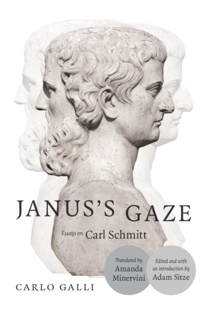 Janus's Gaze : Essays on Carl Schmitt, PDF eBook
