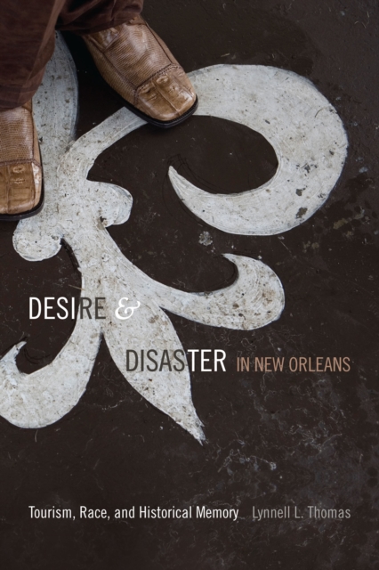 Desire and Disaster in New Orleans : Tourism, Race, and Historical Memory, PDF eBook