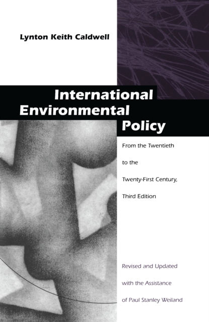 International Environmental Policy : From the Twentieth to the Twenty-First Century, PDF eBook