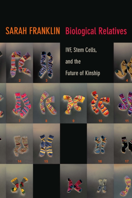 Biological Relatives : IVF, Stem Cells, and the Future of Kinship, PDF eBook