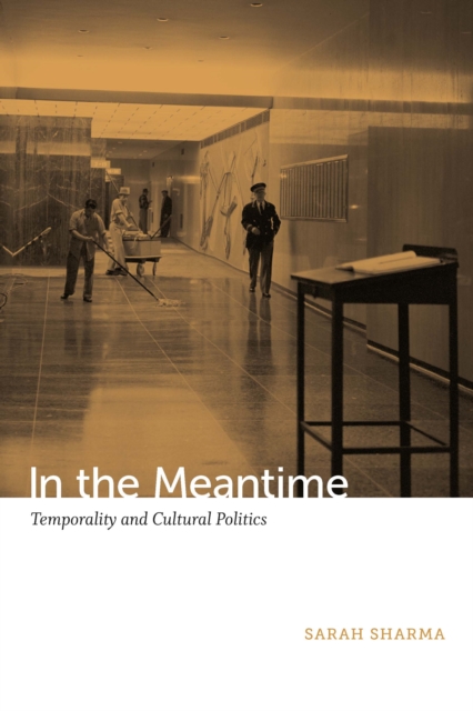 In the Meantime : Temporality and Cultural Politics, PDF eBook