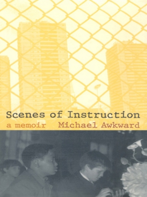 Scenes of Instruction : A Memoir, PDF eBook