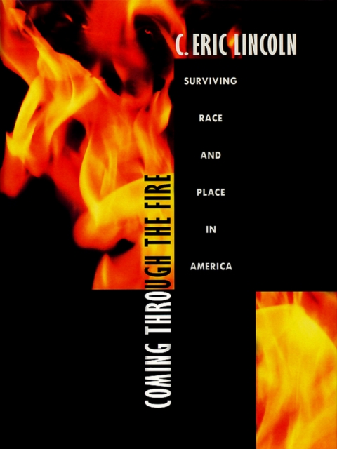 Coming through the Fire : Surviving Race and Place in America, PDF eBook