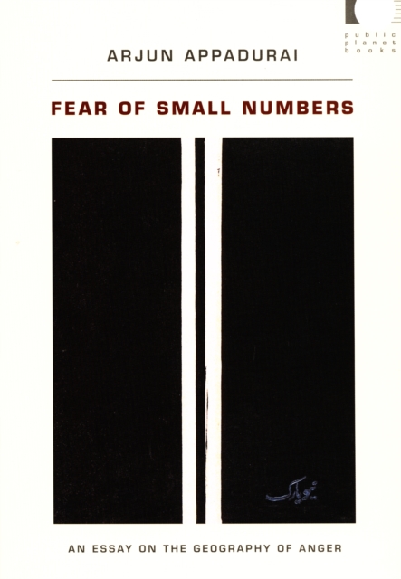 Fear of Small Numbers : An Essay on the Geography of Anger, PDF eBook