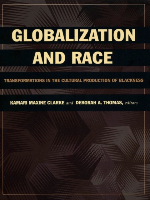 Globalization and Race : Transformations in the Cultural Production of Blackness, PDF eBook