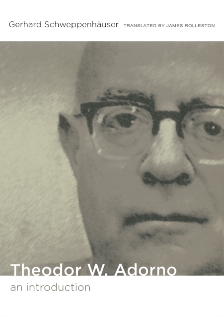 Theodor W. Adorno : An Introduction, PDF eBook