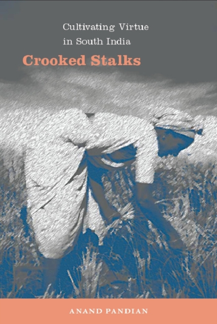 Crooked Stalks : Cultivating Virtue in South India, PDF eBook