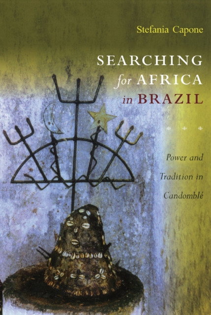 Searching for Africa in Brazil : Power and Tradition in Candomble, PDF eBook