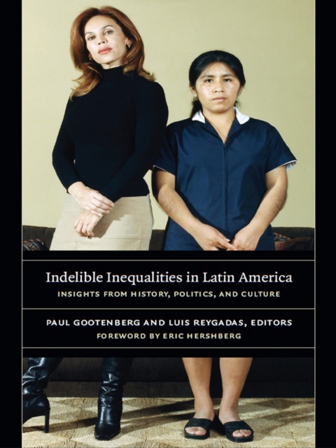 Indelible Inequalities in Latin America : Insights from History, Politics, and Culture, PDF eBook
