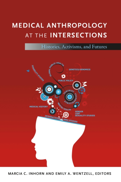 Medical Anthropology at the Intersections : Histories, Activisms, and Futures, PDF eBook