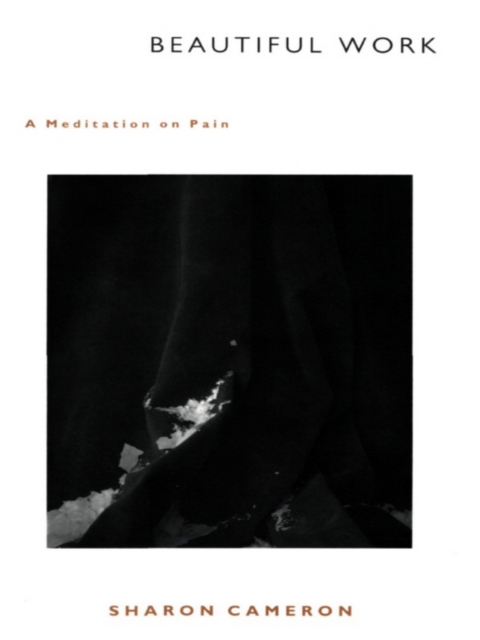 Beautiful Work : A Meditation on Pain, PDF eBook