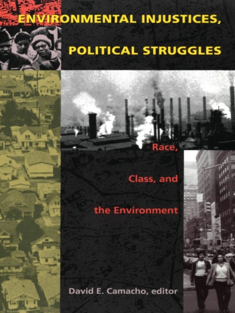 Environmental Injustices, Political Struggles : Race, Class and the Environment, PDF eBook