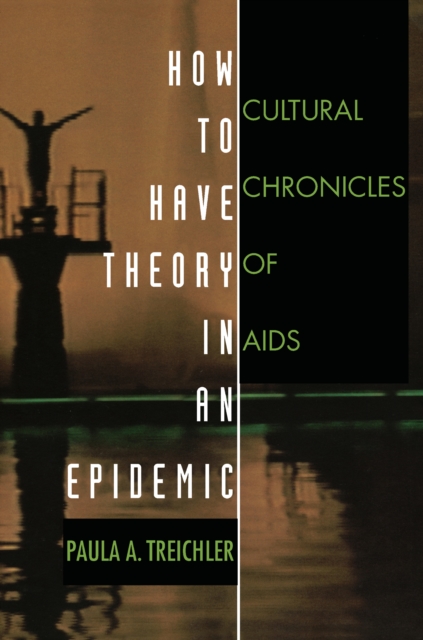 How to Have Theory in an Epidemic : Cultural Chronicles of AIDS, PDF eBook