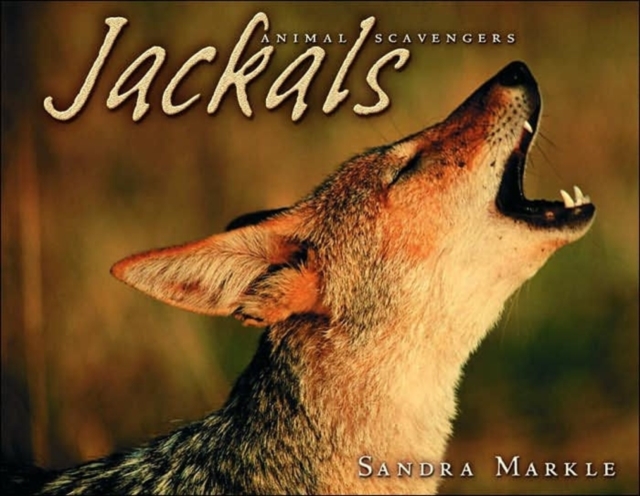Jackals, Paperback / softback Book