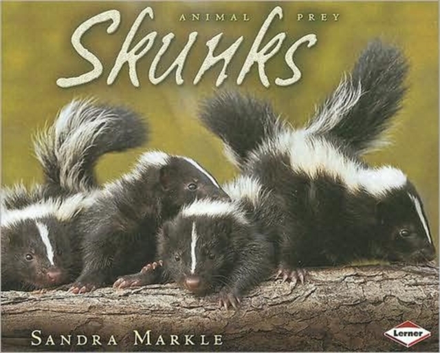 Skunks, Paperback / softback Book