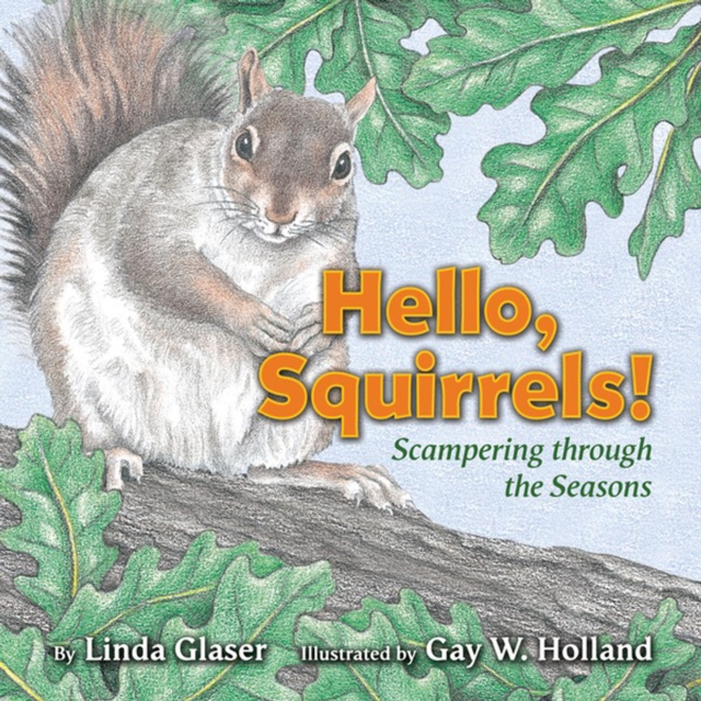 Hello, Squirrels! : Scampering through the Seasons, PDF eBook