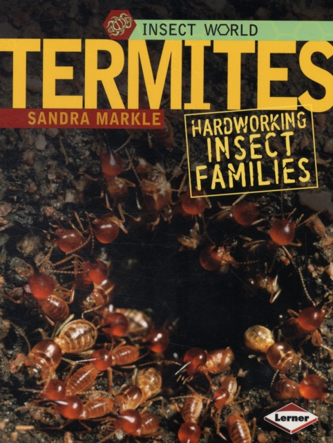 Termites : Hard-Working Insect Families, Paperback / softback Book