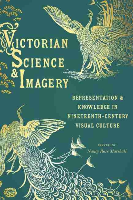 Victorian Science and Imagery : Representation and Knowledge in Nineteenth Century Visual Culture, Hardback Book