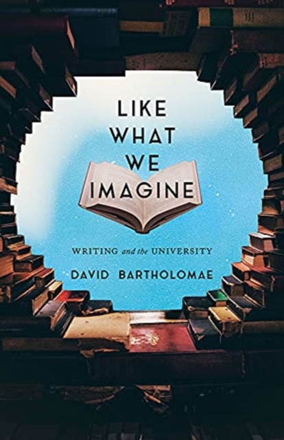Like What We Imagine : Essays on Writing and Teaching, Hardback Book