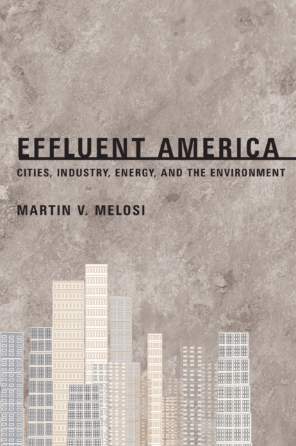 Effluent America : Cities, Industry, Energy, and the Environment, Paperback / softback Book