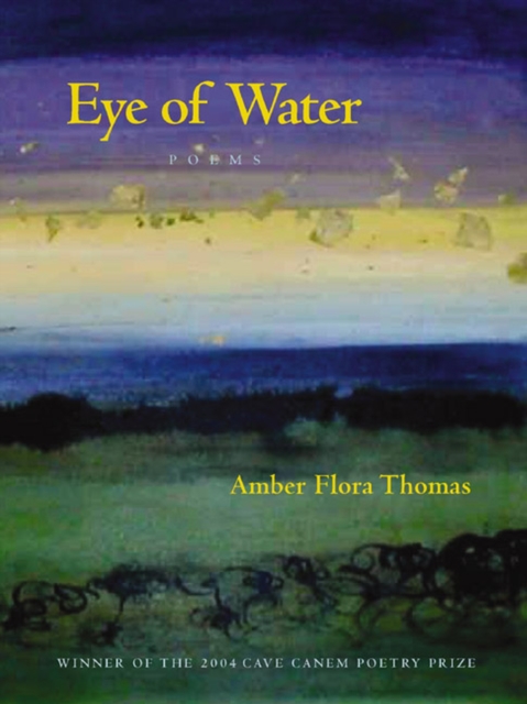 Eye of Water, Paperback / softback Book