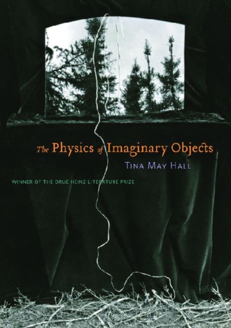 The Physics of Imaginary Objects, Paperback / softback Book