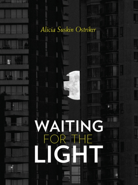Waiting for the Light, Paperback / softback Book