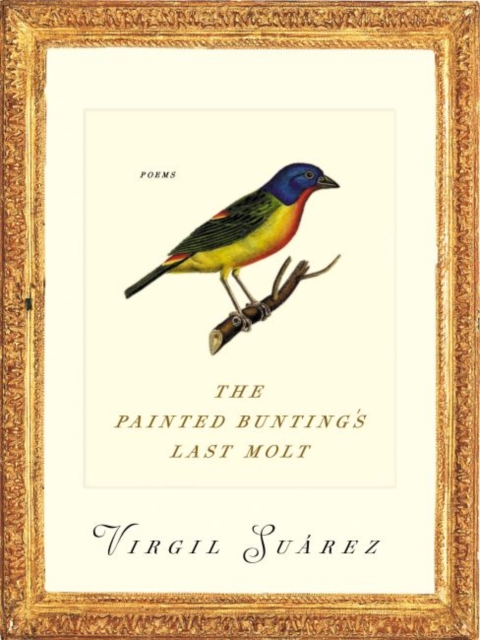 The Painted Bunting's Last Molt : Poems, Paperback / softback Book