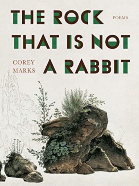 The Rock That is Not a Rabbit : Poems, Paperback / softback Book