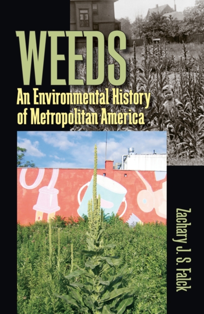 Weeds : An Environmental History of Metropolitan America, PDF eBook