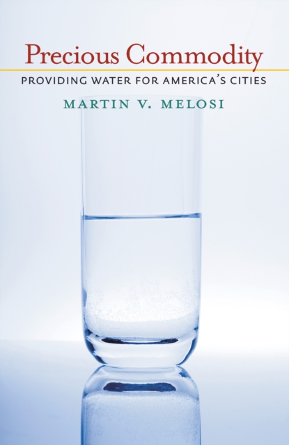 Precious Commodity : Providing Water for America's Cities, PDF eBook